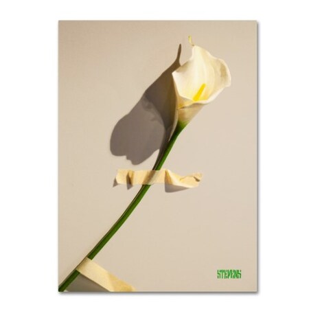 Trademark Fine Art Roderick Stevens 'Lily' Canvas Art, 24x32 RS1029-C2432GG